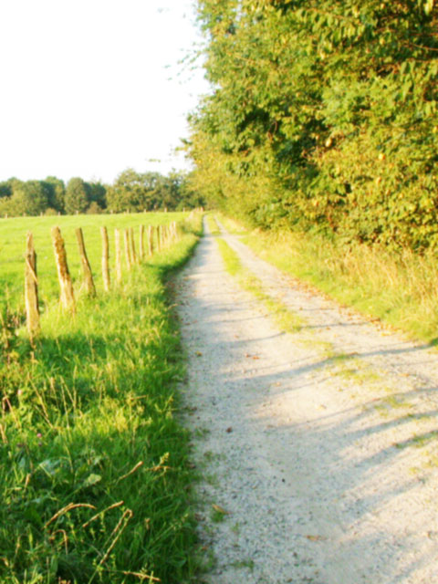 Dirt road